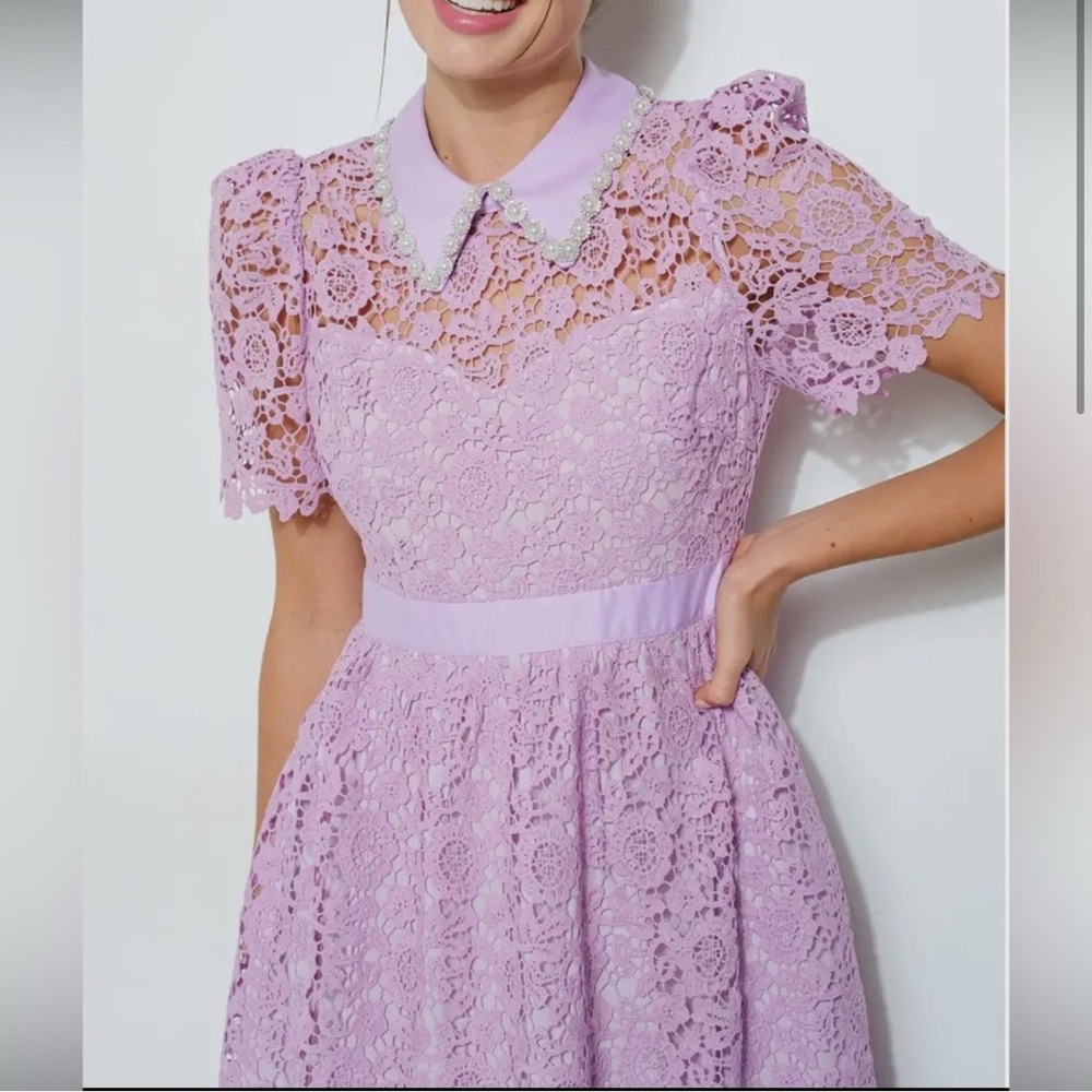 Gorgeous Ina Guipure Lace Pink Lilac Midi Dress Self Portrait Tuckernuck S M L